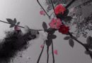 艺术家杨文萍，用镜头捕捉生命中的破碎与虚无