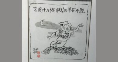 漫画“云南十八怪”的李昆武  向世界讲述云南故事