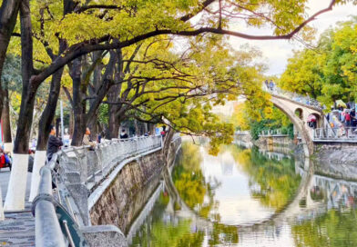 马秉仁 ：家乡的大观河 (散文)