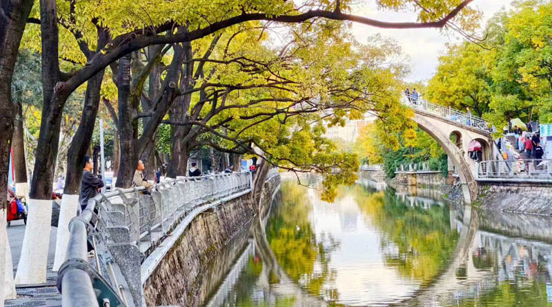 马秉仁 ：家乡的大观河 (散文)