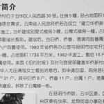 华侨新村故事 ——  李巨涛: 国与家连在一起