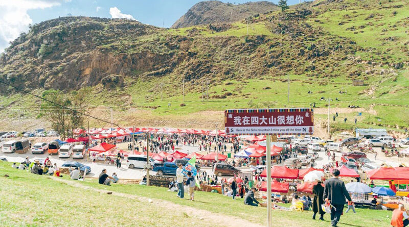 山野中的集市——草皮街