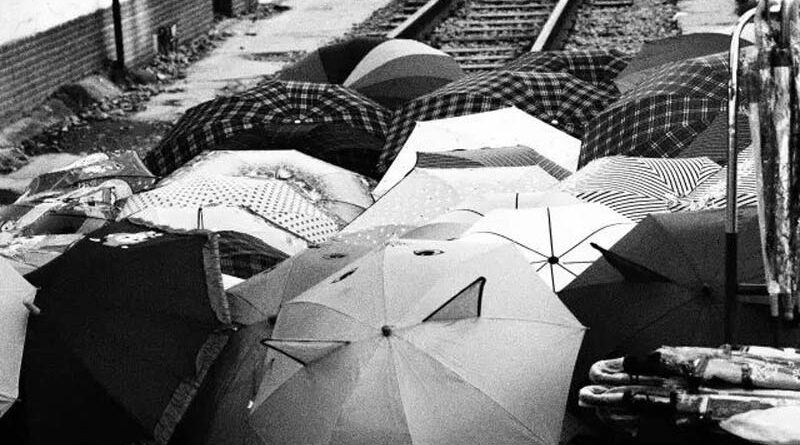 昆明人，你又多久没赶过马街了